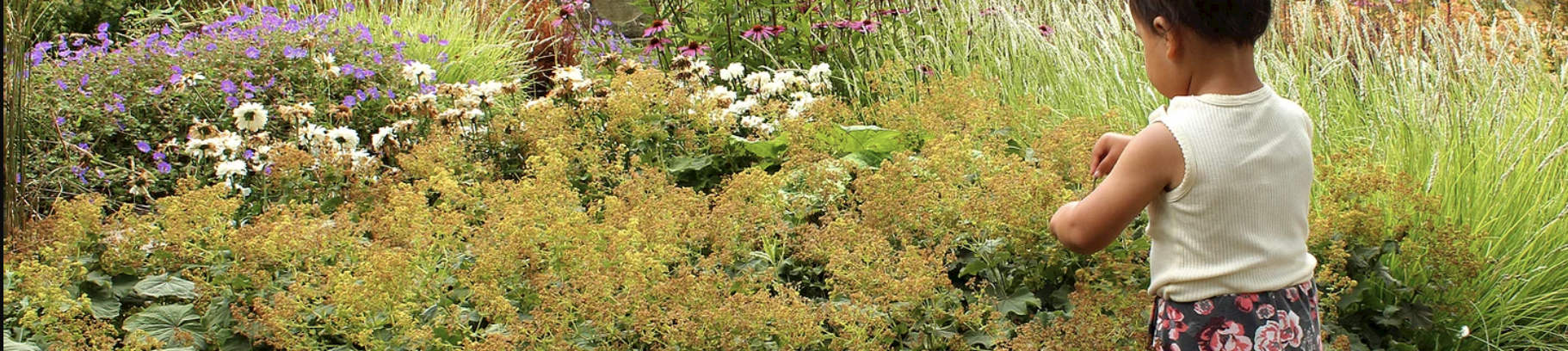 Havekurser og design hos FOF København