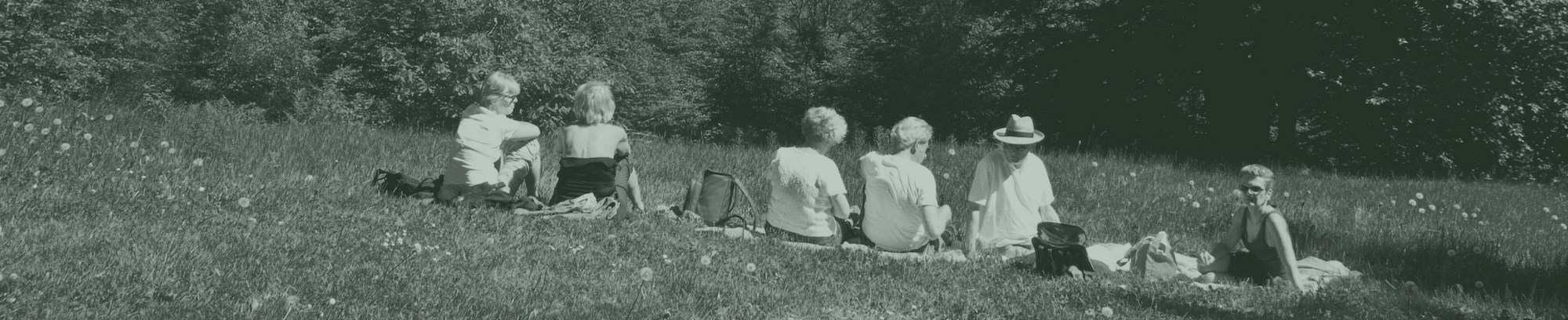 foto af mennesker der sidder på græsplæne med udsigt