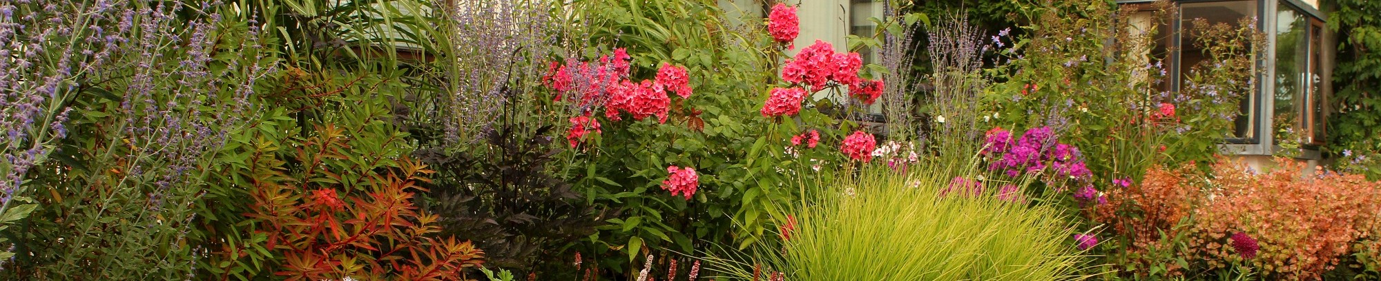 Planteanvendelse – kursus hos FOF København