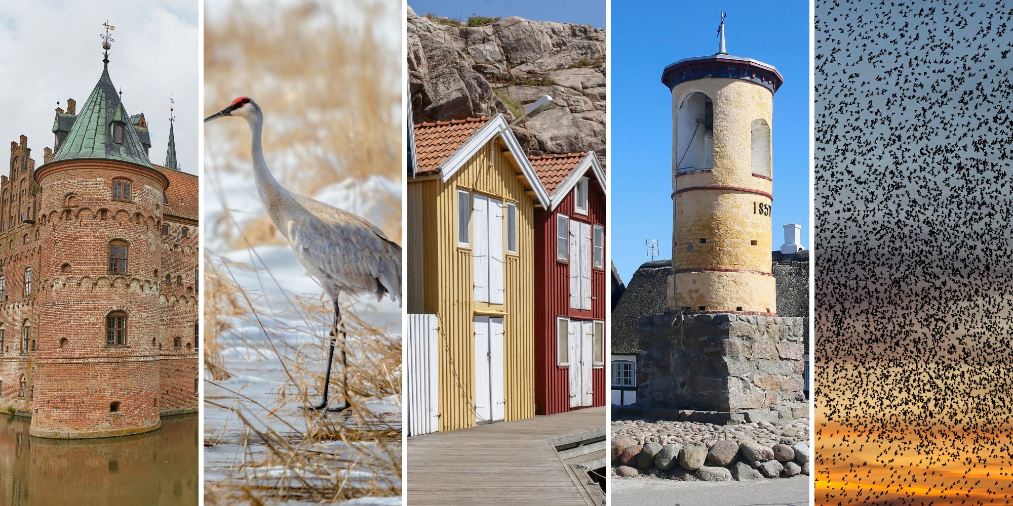 Busture | FOF Københavns Omegn