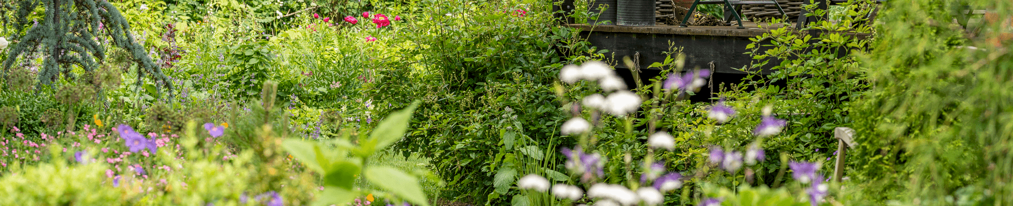En af Københavns største private haver - Blomsterhaven i Herlev