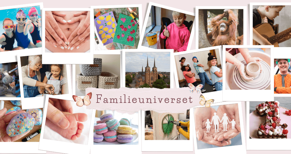 Familieuniverset