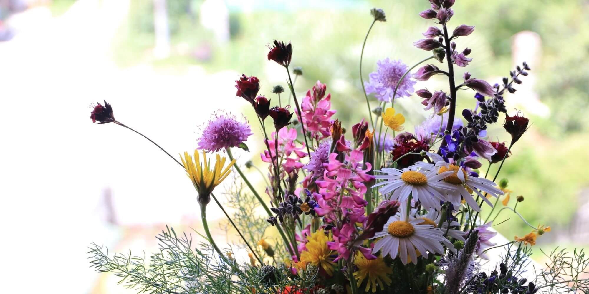 Farverige blomster fra haven | FOF Københavns Omegn