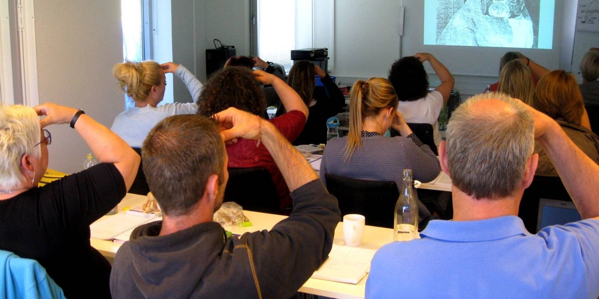 Styr din stress kursus | FOF Københavns Omegn