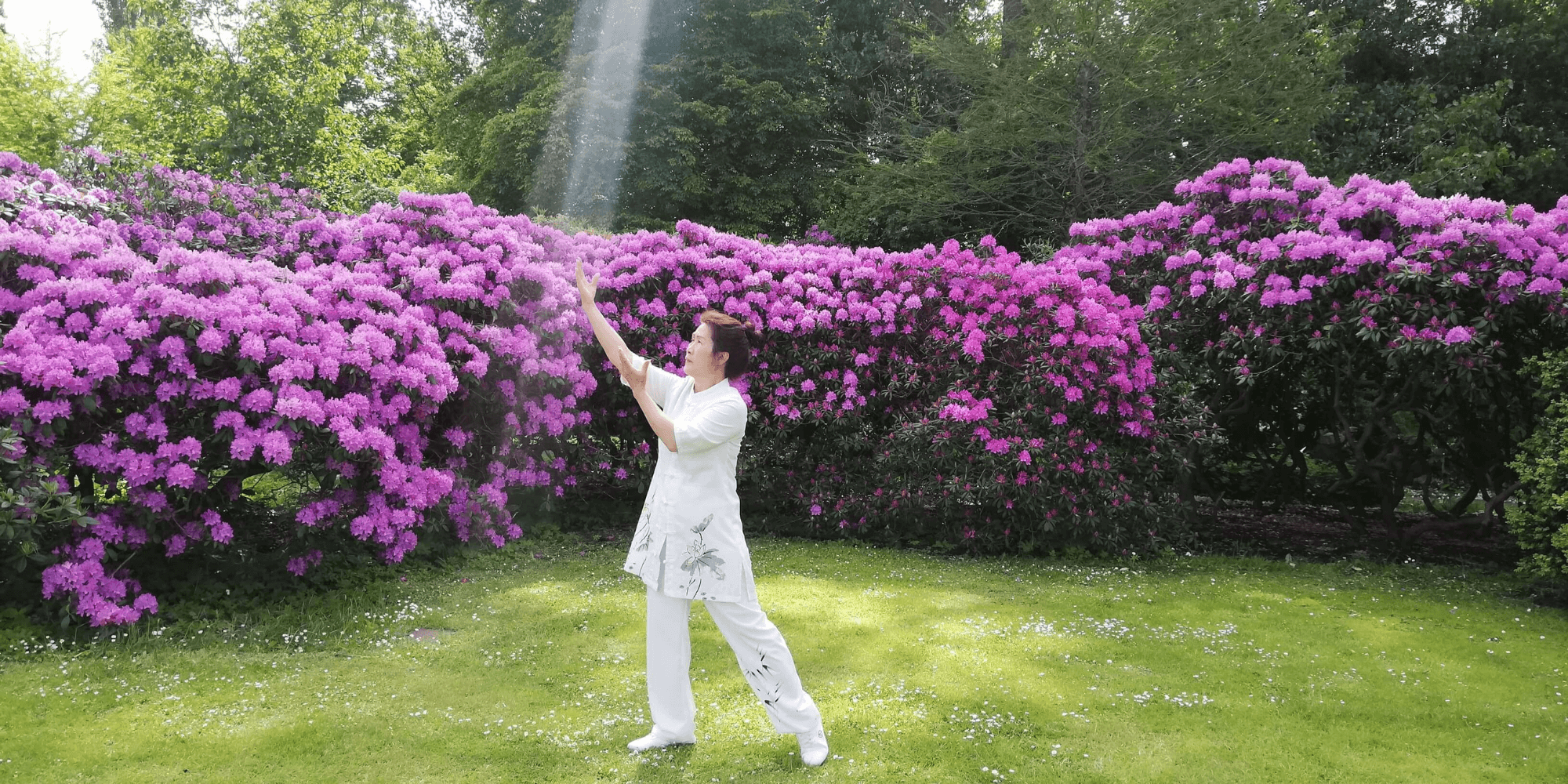 Qi Gong | FOF Københavns Omegn