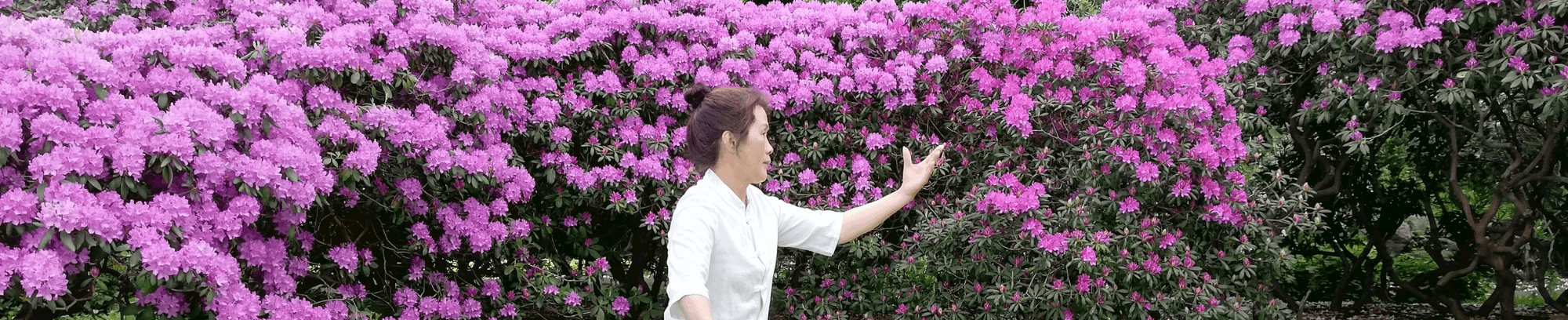 Tai Chi for mindre stress | FOF Københavns Omegn