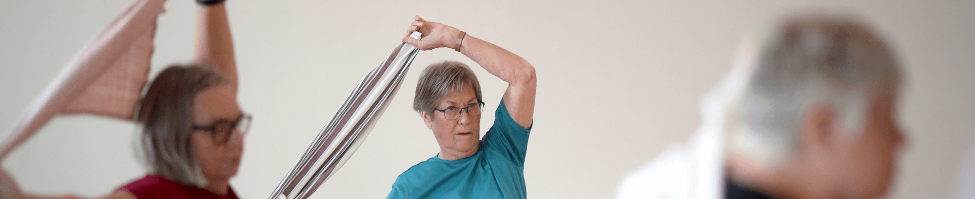 Gotvedbevægelse hos FOF Køge Bugt 2