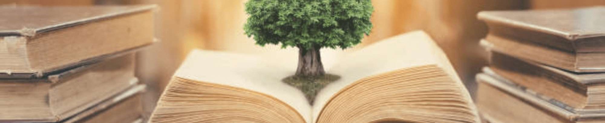 Bliv klogere på stort og småt på FOF Køge Bugts spændende seniorhøjskoler