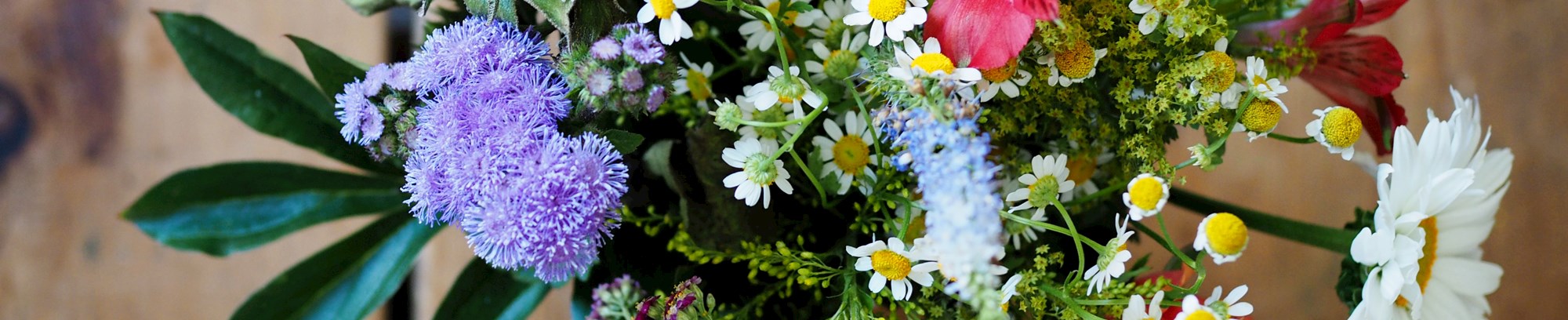 Lær bæredygtig blomsterbinding hos FOF Nordsjælland