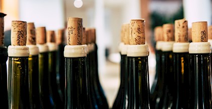 Vin - italienske vin - vinsmagning - vinkurser