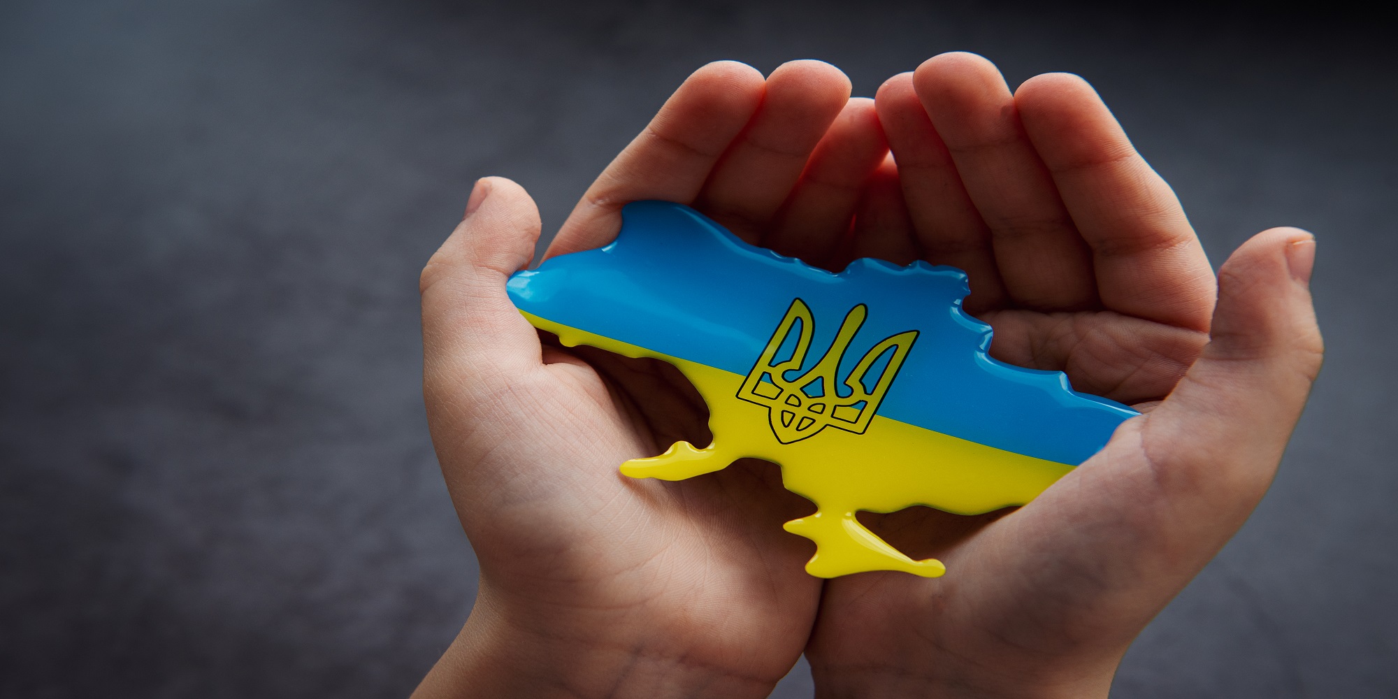 Kom til foredrag i Lemvig og bliv klogere på Zelenskyjs Ukraine, FOF Nordvestjylland