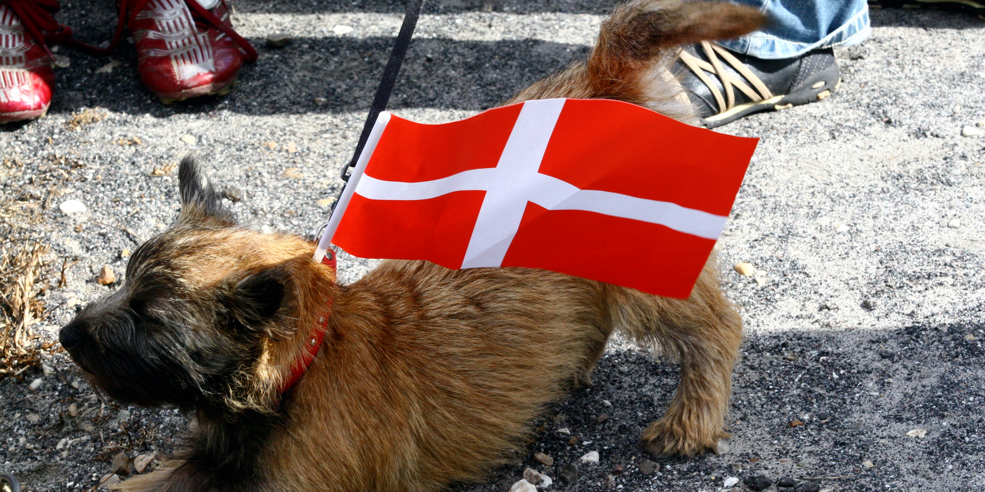 Lær dansk, improve your danish, dansk for begyndere hos FOF Nordvestjylland