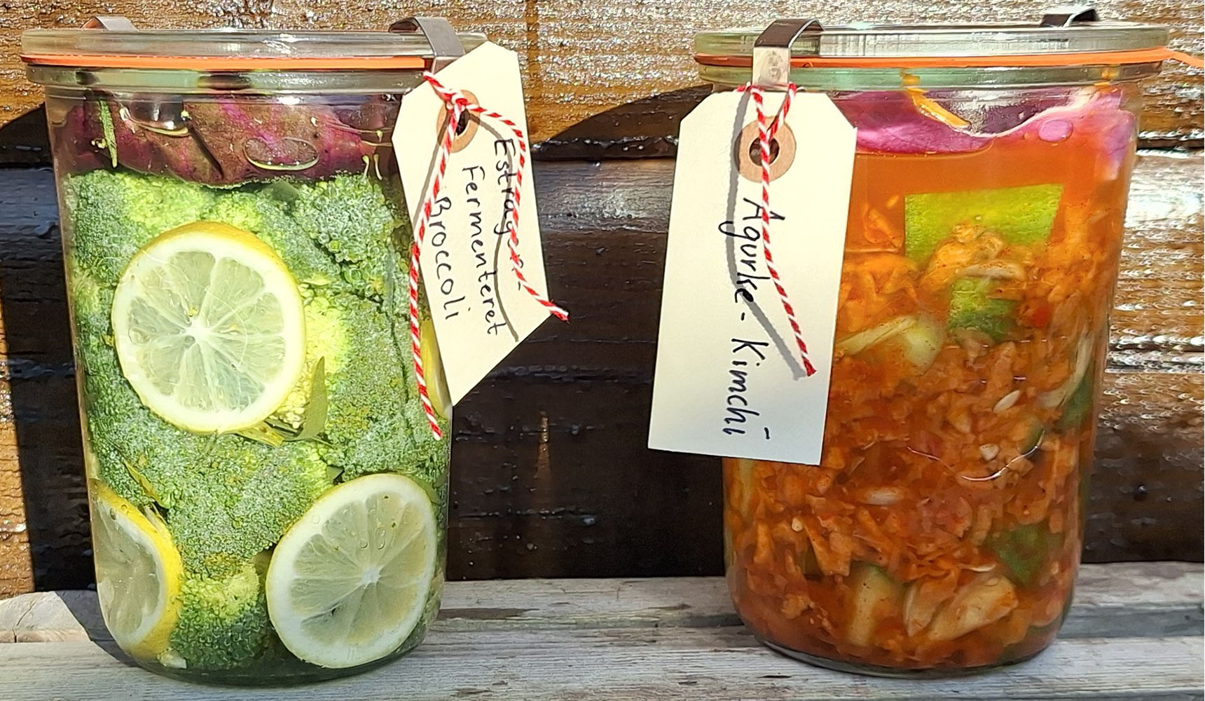 Grønt fermentering mad råvarer kursus FOF