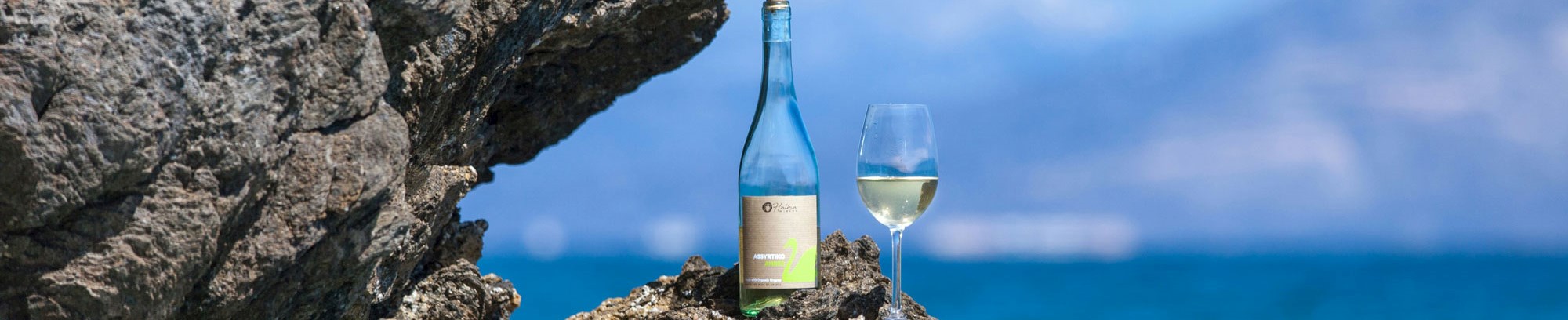 Gå til vinsmagning i FOF i Næstved