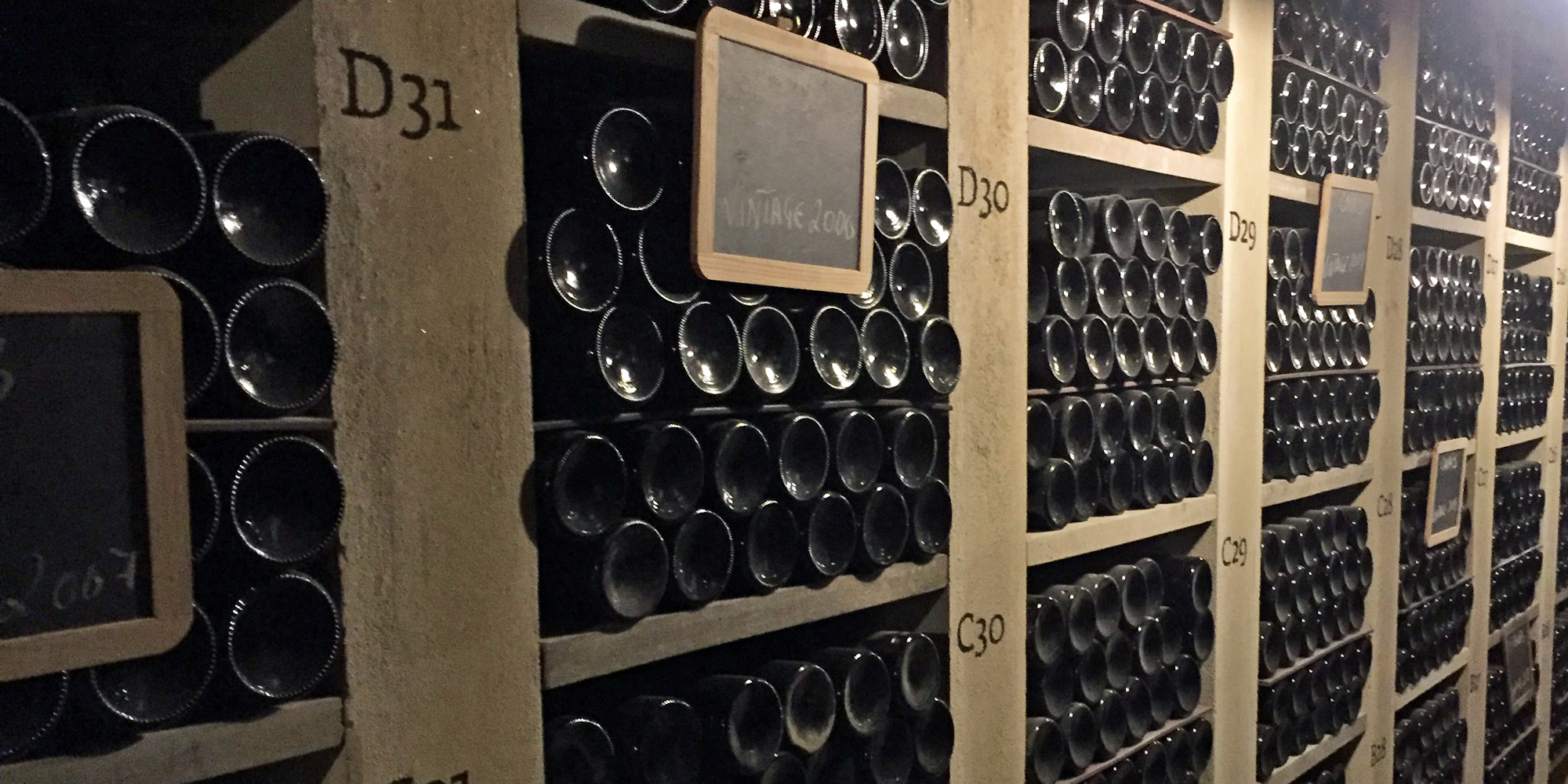 Vinsmagning af vintage portvin i FOF