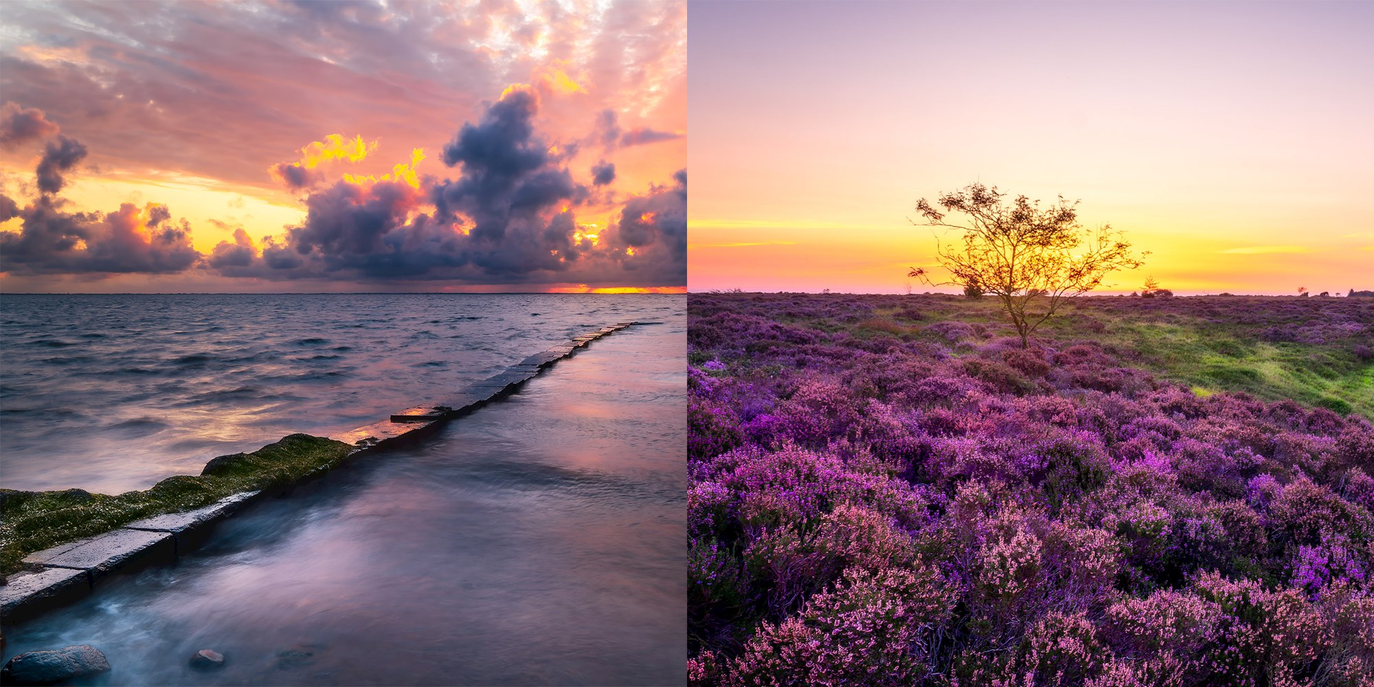 Lær mere om landskabs- og naturfotografering med Michel hos FOF Sydjylland