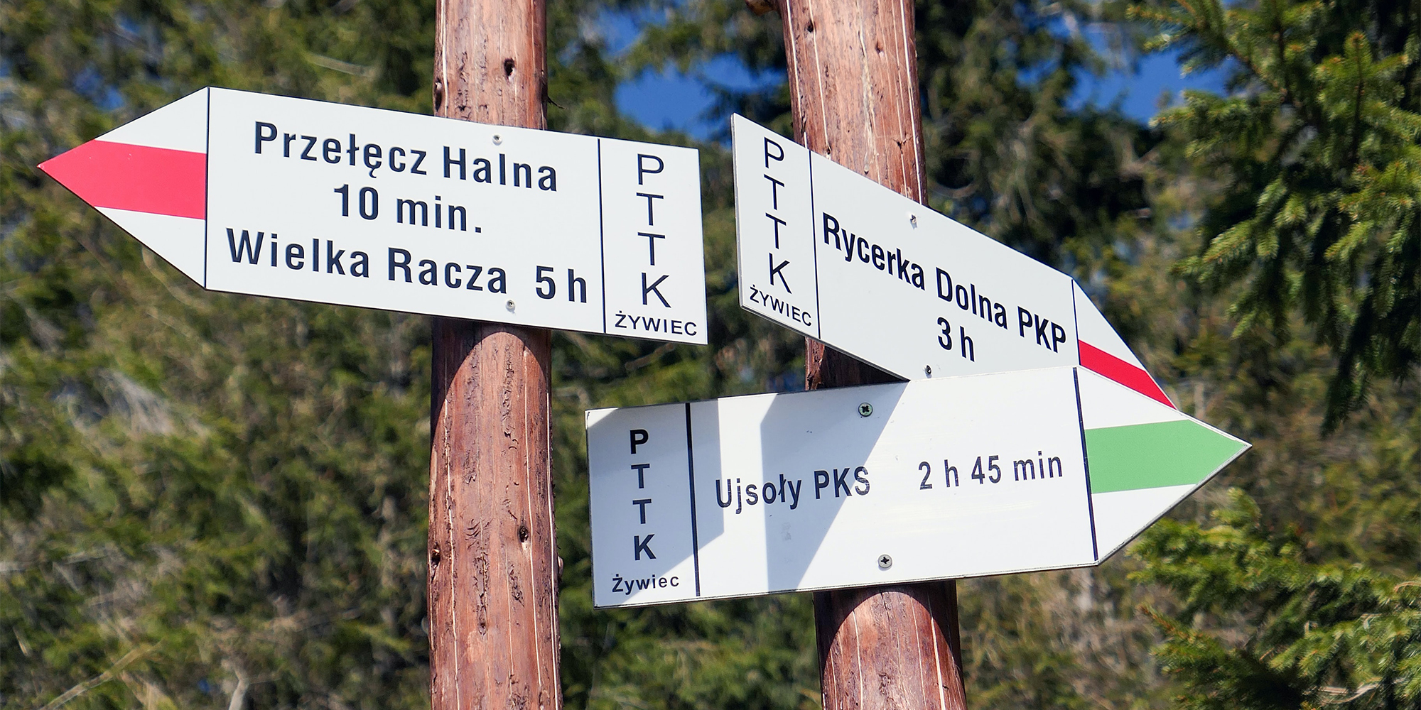 Lær polsk hos FOF Sydjylland