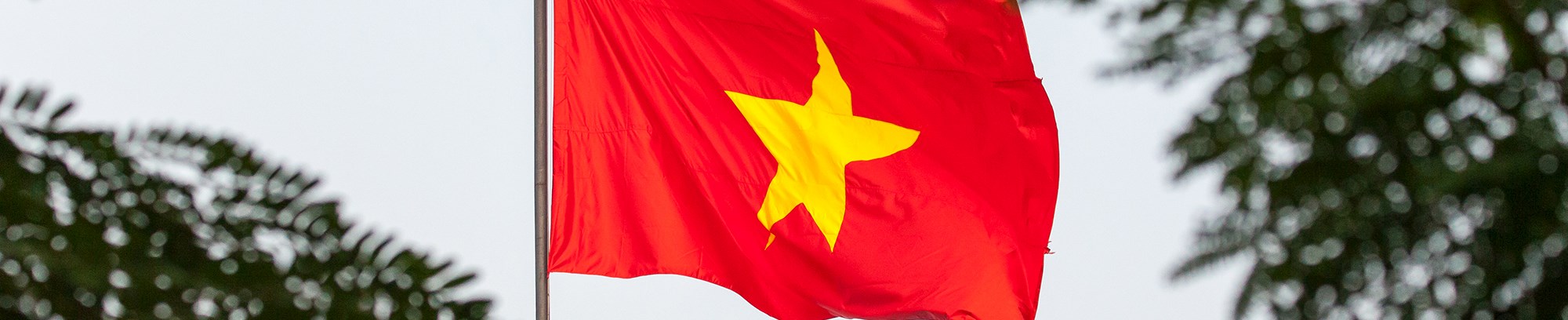 Lær vietnamesisk hos FOF Sydjylland