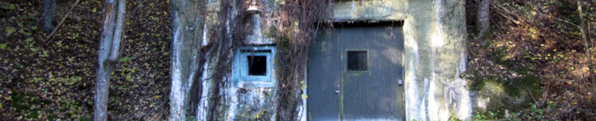 Indgangen til REGAN Vest i Rold Skov. Herfra fører en 300 m lang tunnel ind i kalkbakken til bunkerens to ringe.