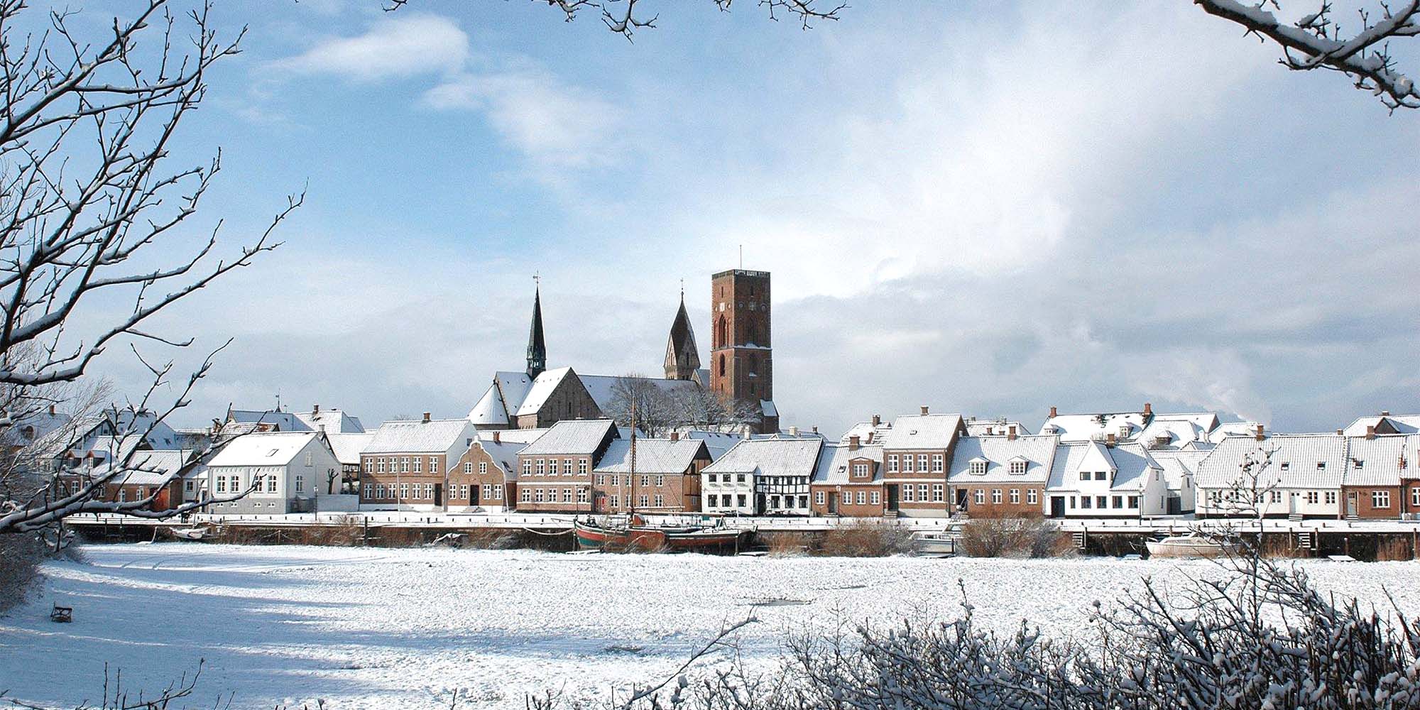 Julebyen Ribe