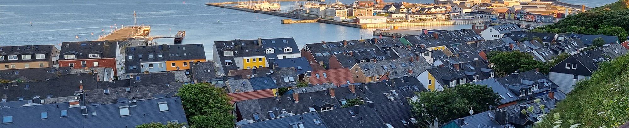Udsigt over Lavlandets bydel og havn