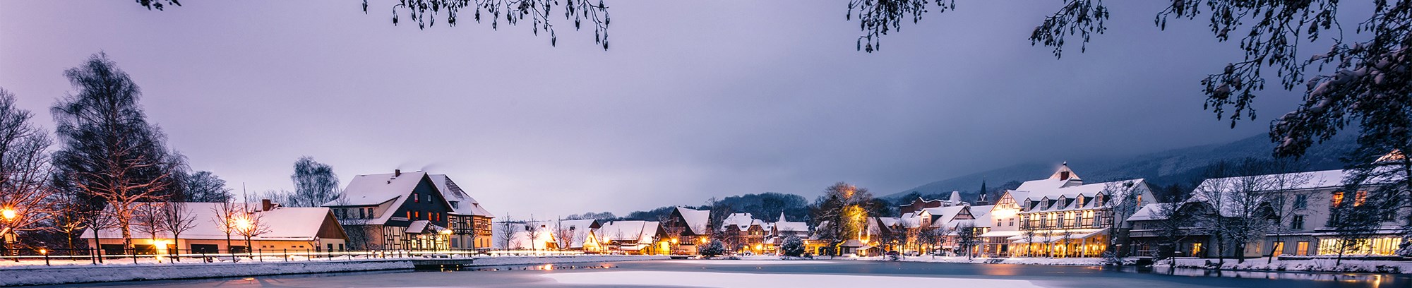 Julerejse til Harzen