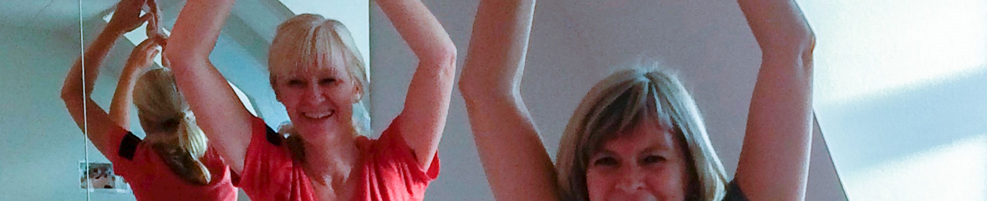 Bevægelse, motion og træning hos FOF-Vest