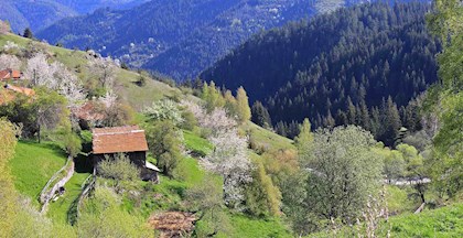 Vandring i Rhodoperne - Specialrejse i Bulgarien - FOF Vest