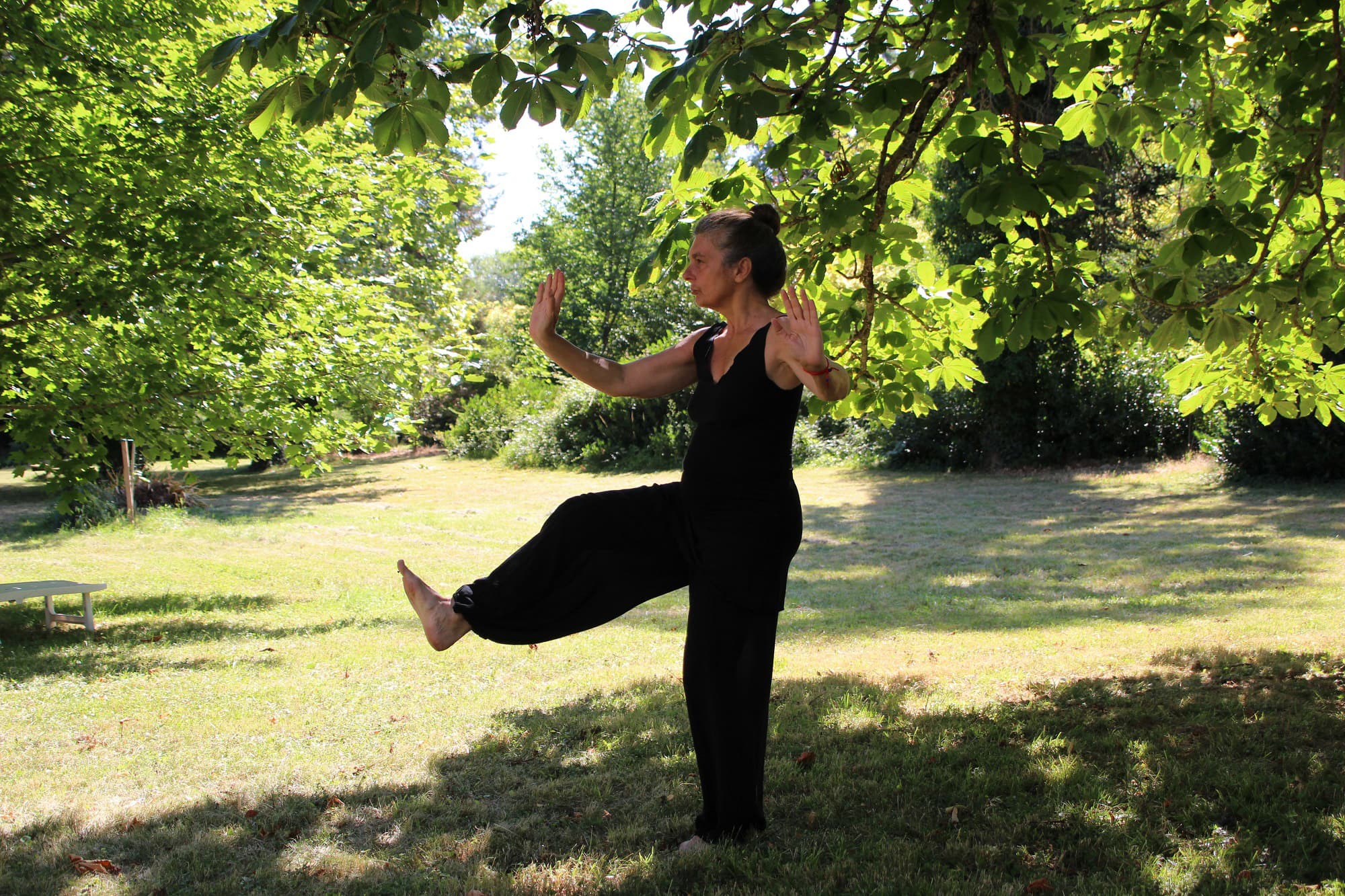 Qigong-fofkn-aftenskolen-Motion og sundhed-stock.jpg