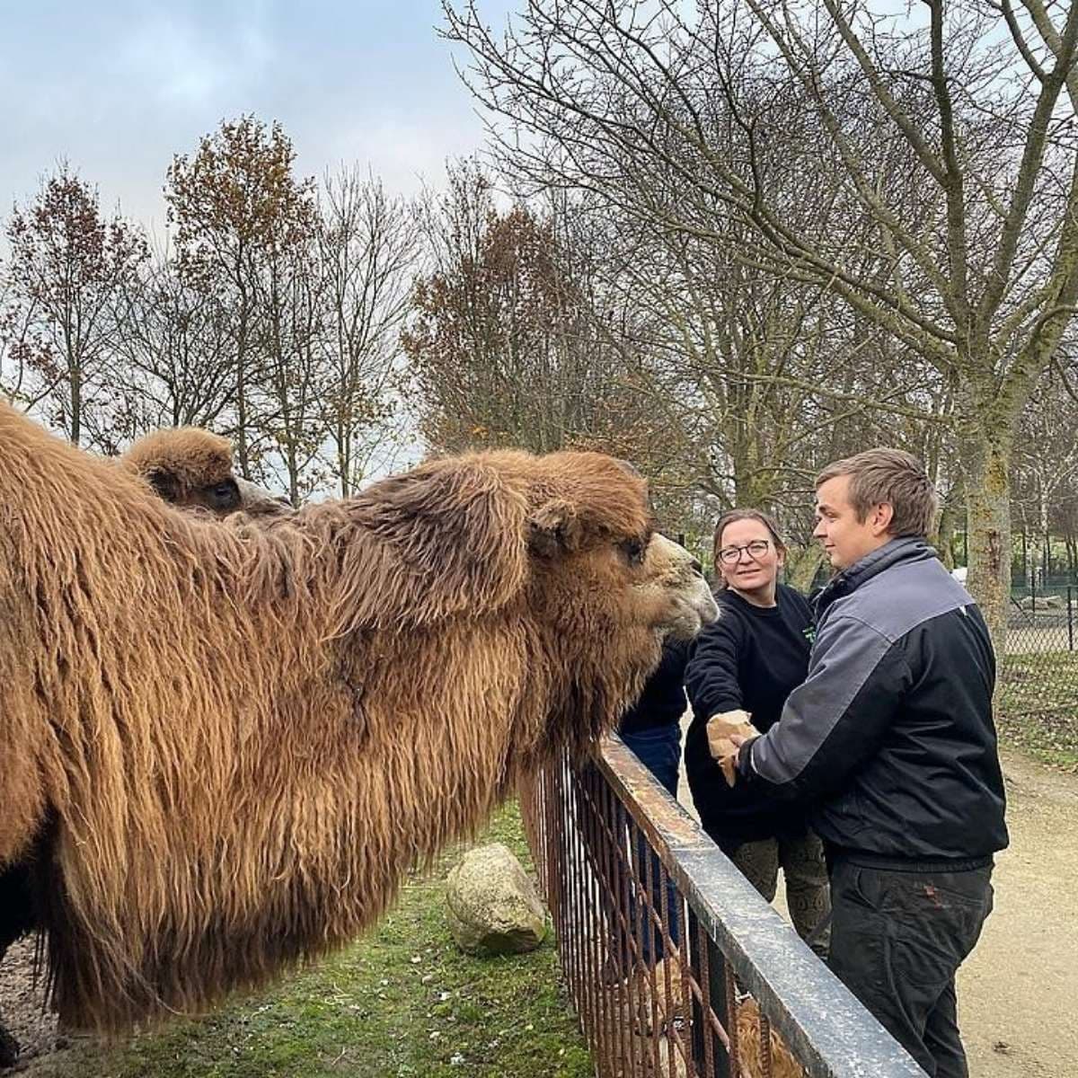 Bliv KLOGERE på Munkholm Zoo Balle FOF Djursland (1).jpg