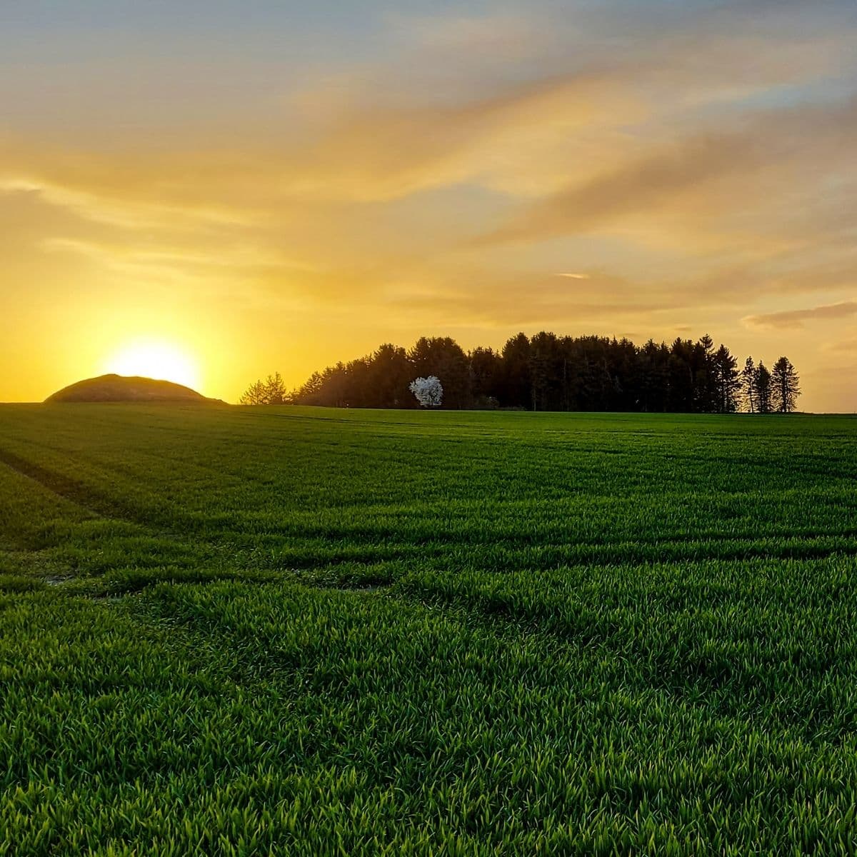 Skumringslyd - Ebeltoft - fof djursland (1).jpg