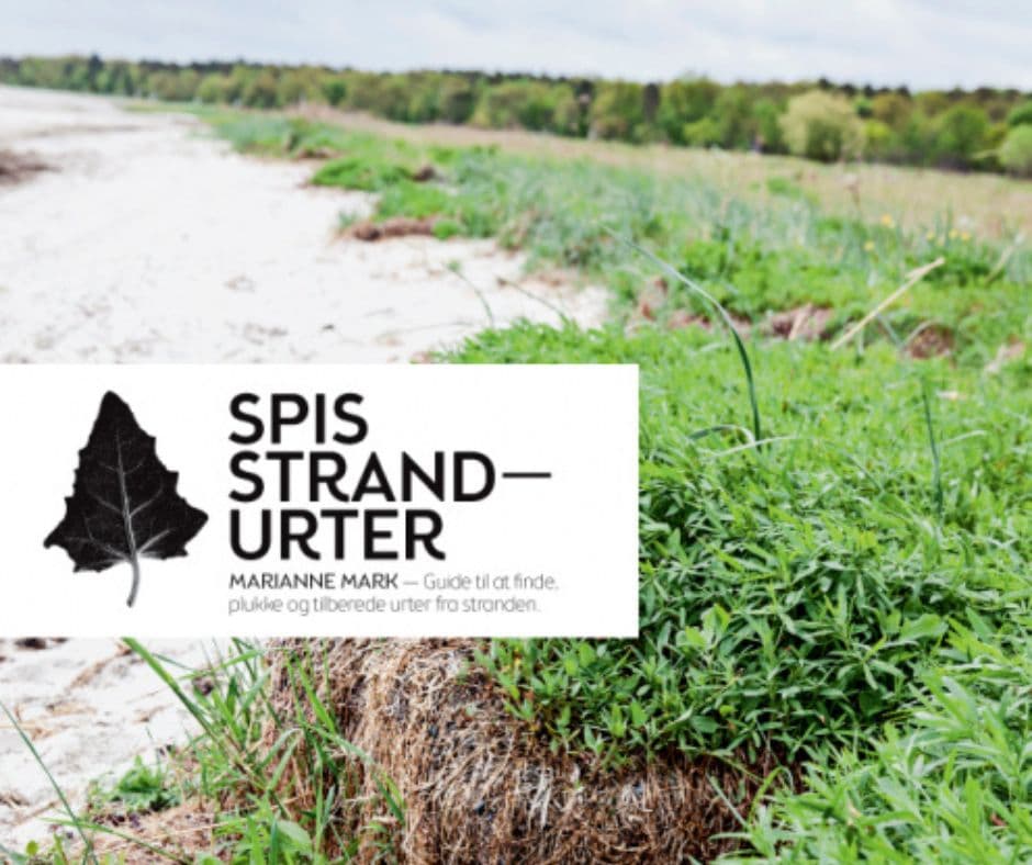 sanketur-køge-fof-aftenskolen (2).jpg