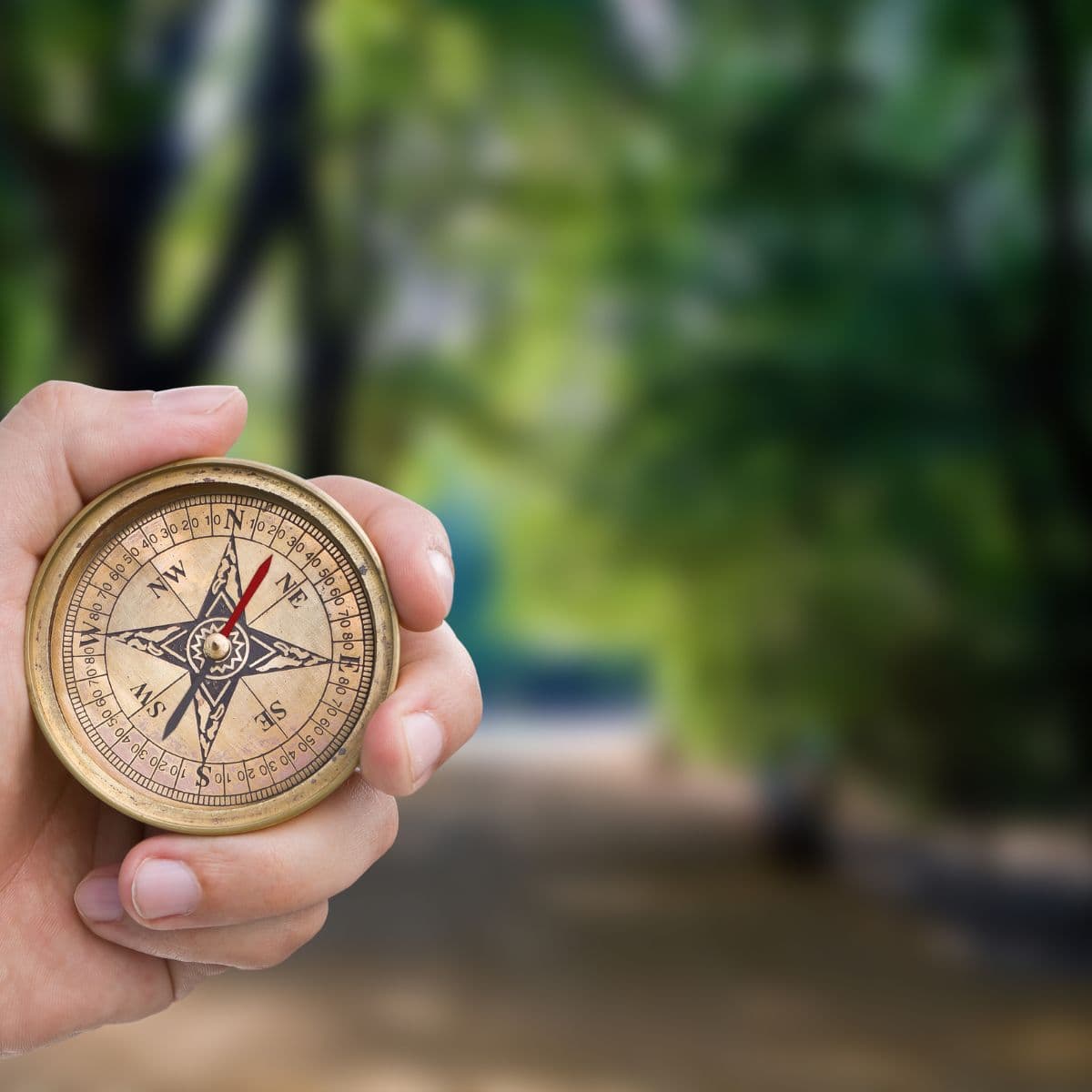 Dit indre kompas og mentale spejl