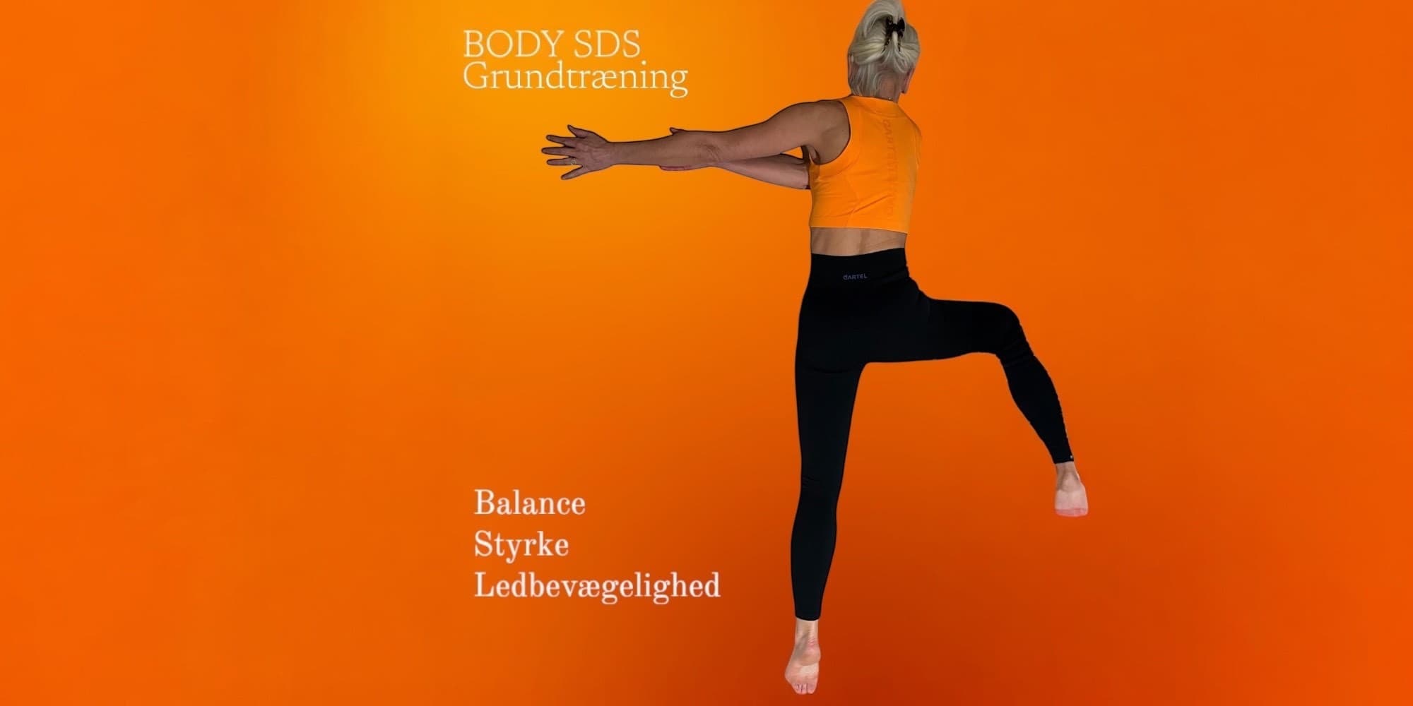 Body SDS FOF Aftenskole Sydøstjylland