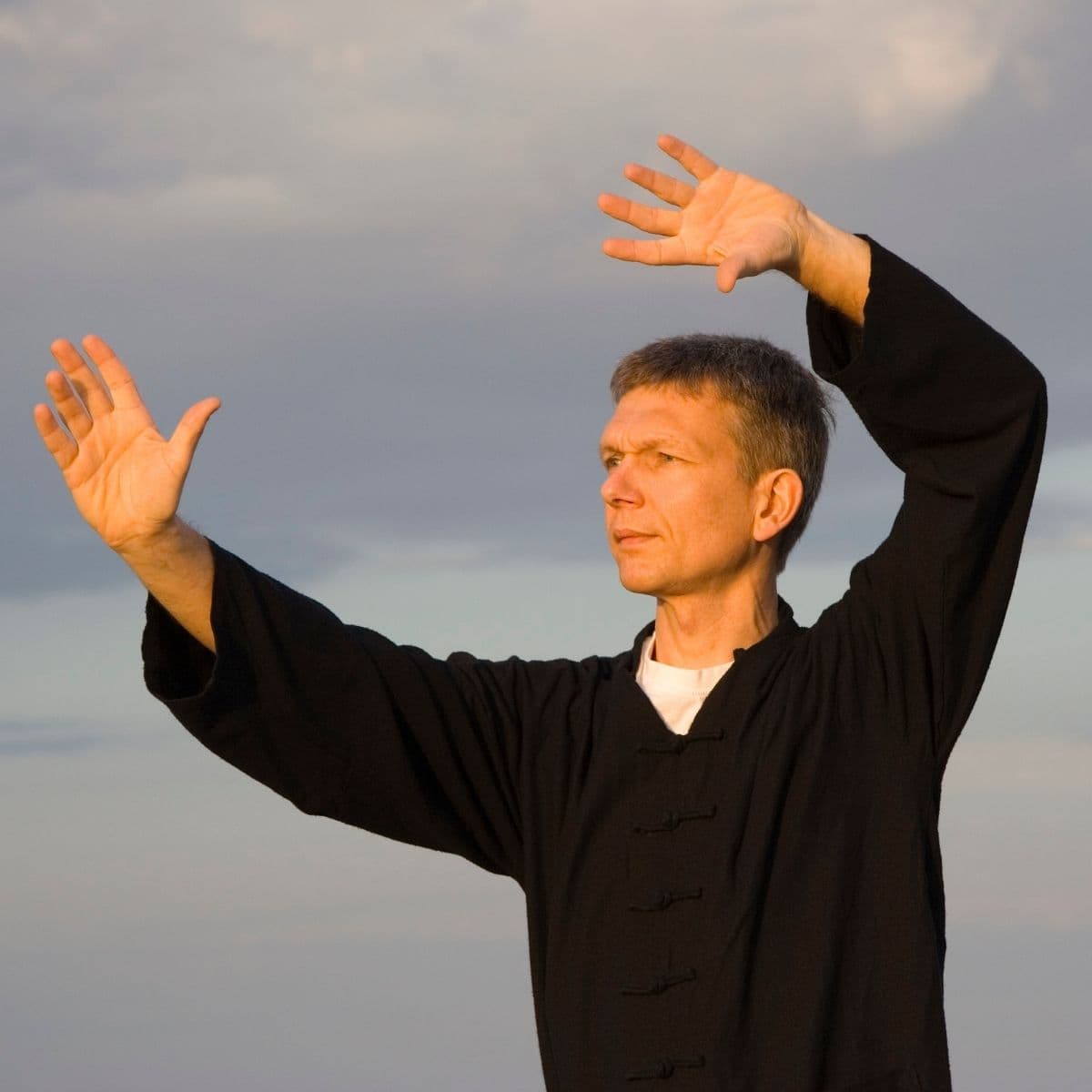 Tai Chi FOF Aftenskolen Sydøstjylland