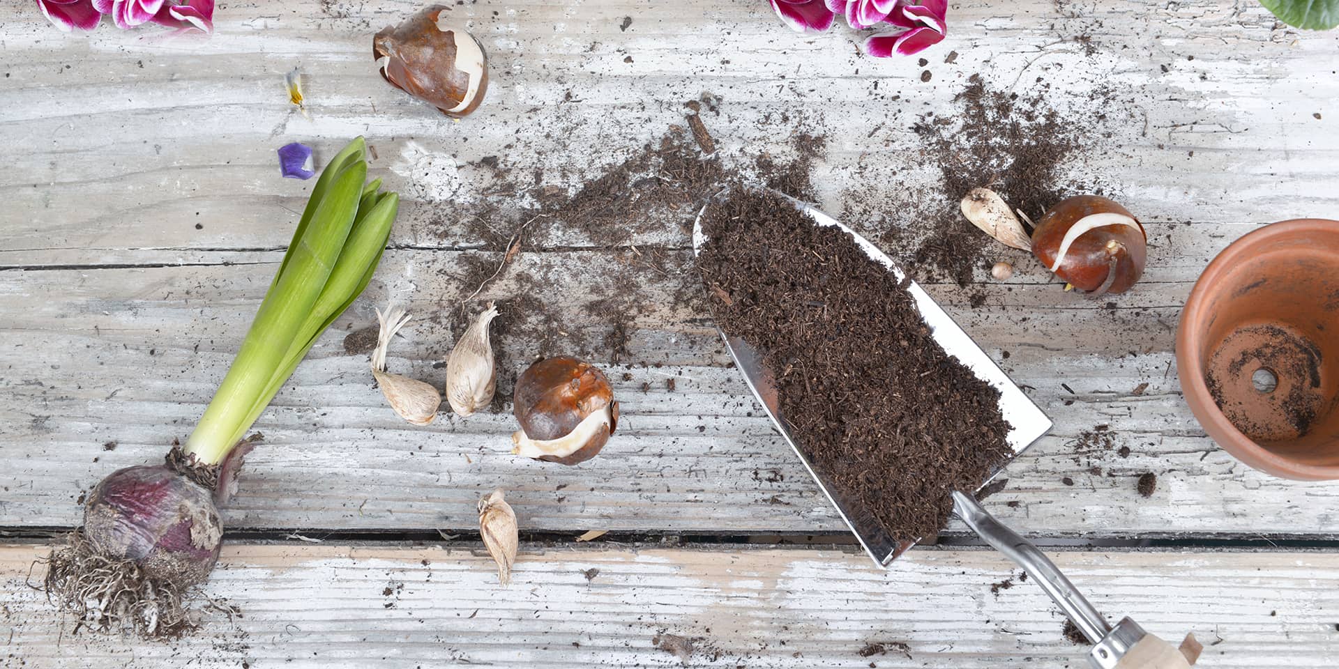 Blomsterløg i lag, fof aarhus