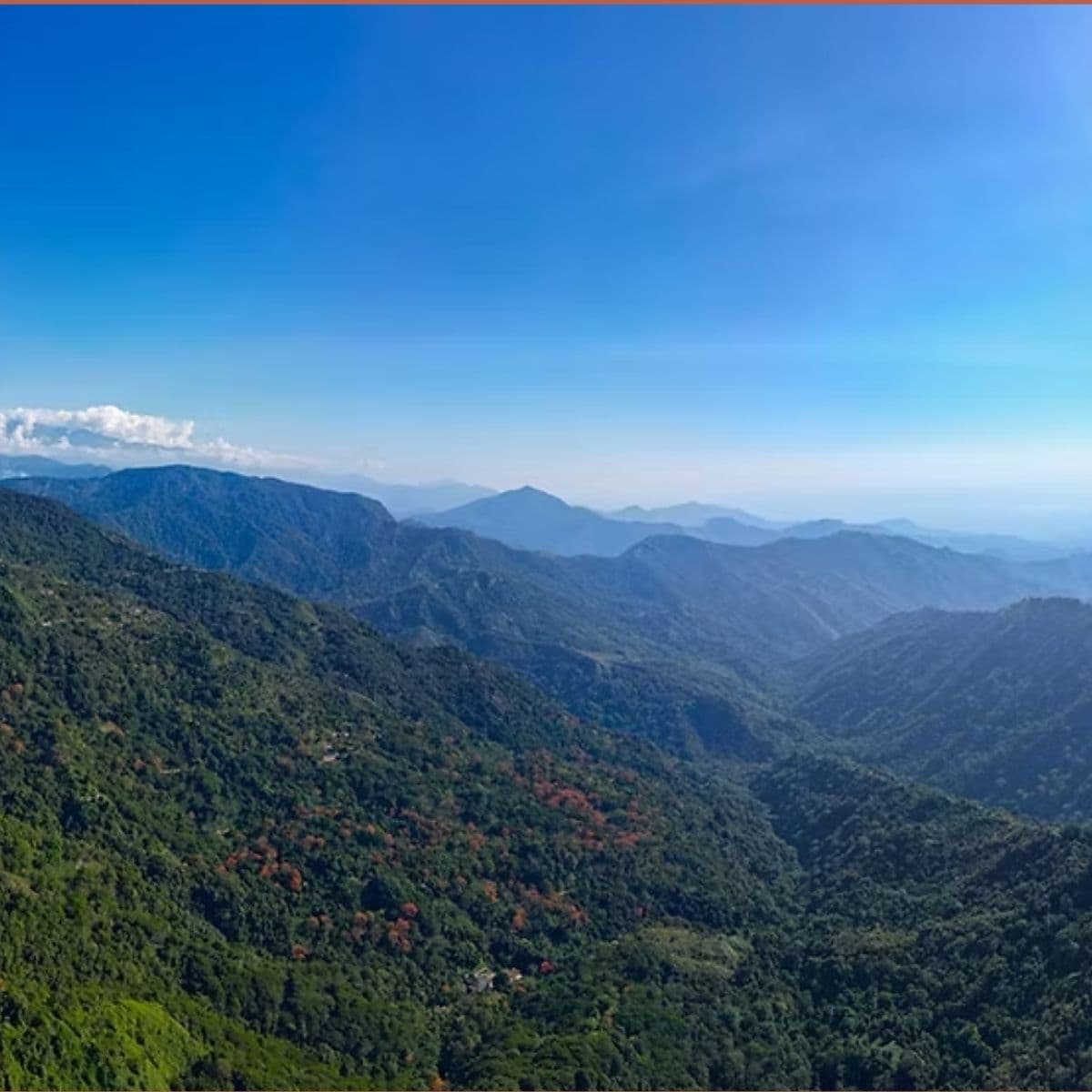 En farlig jungle.jpg