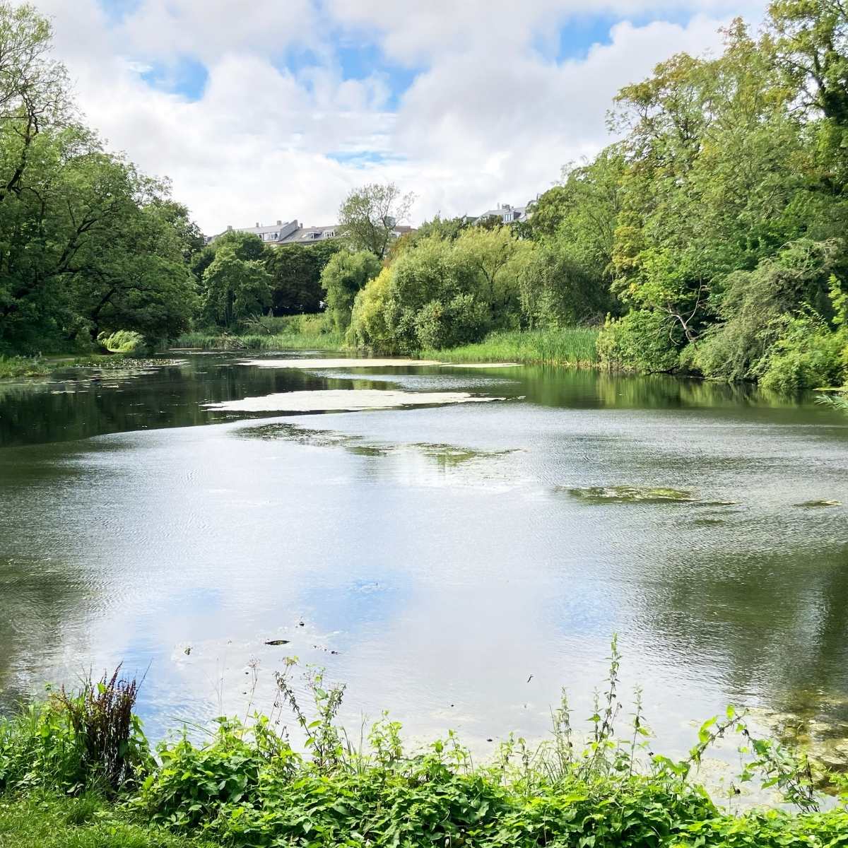 Østre Anlæg FOF Køge Bugt (1).jpg