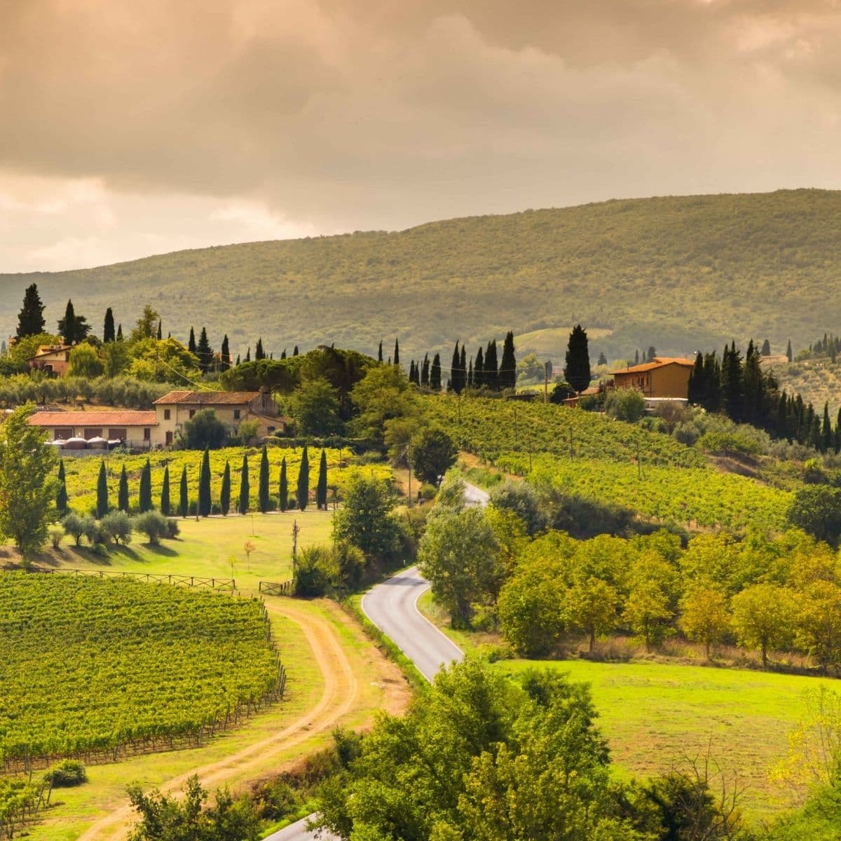Italiensk A1 FOF Sydøstjylland