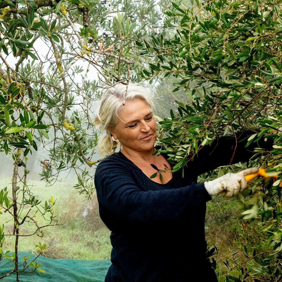 Foredrag-Olivenolie-Sydvest-FOF-Aftenskolen