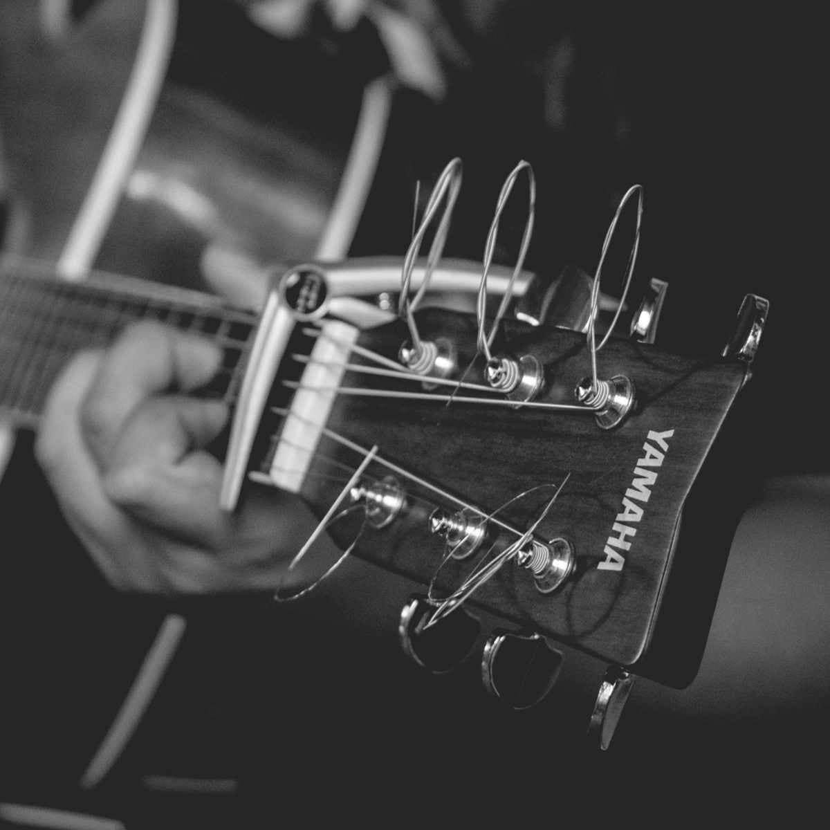 Guitar FOF Køge.jpg