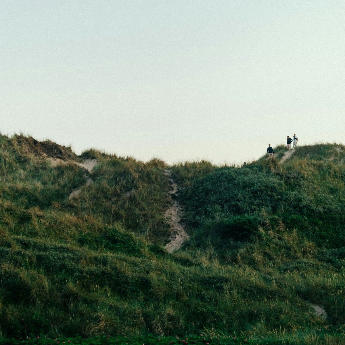 Gruppe på tur i naturen med aftenskolen