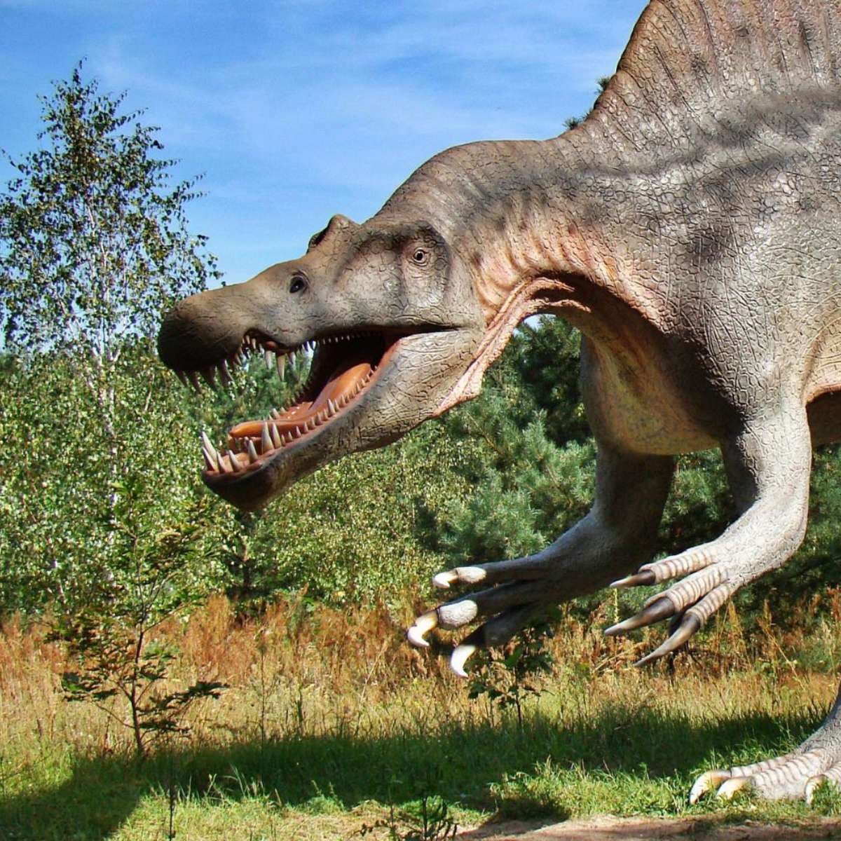 Ture, eksperimenter og aktiviteter, der styrker nysgerrighed og samarbejde