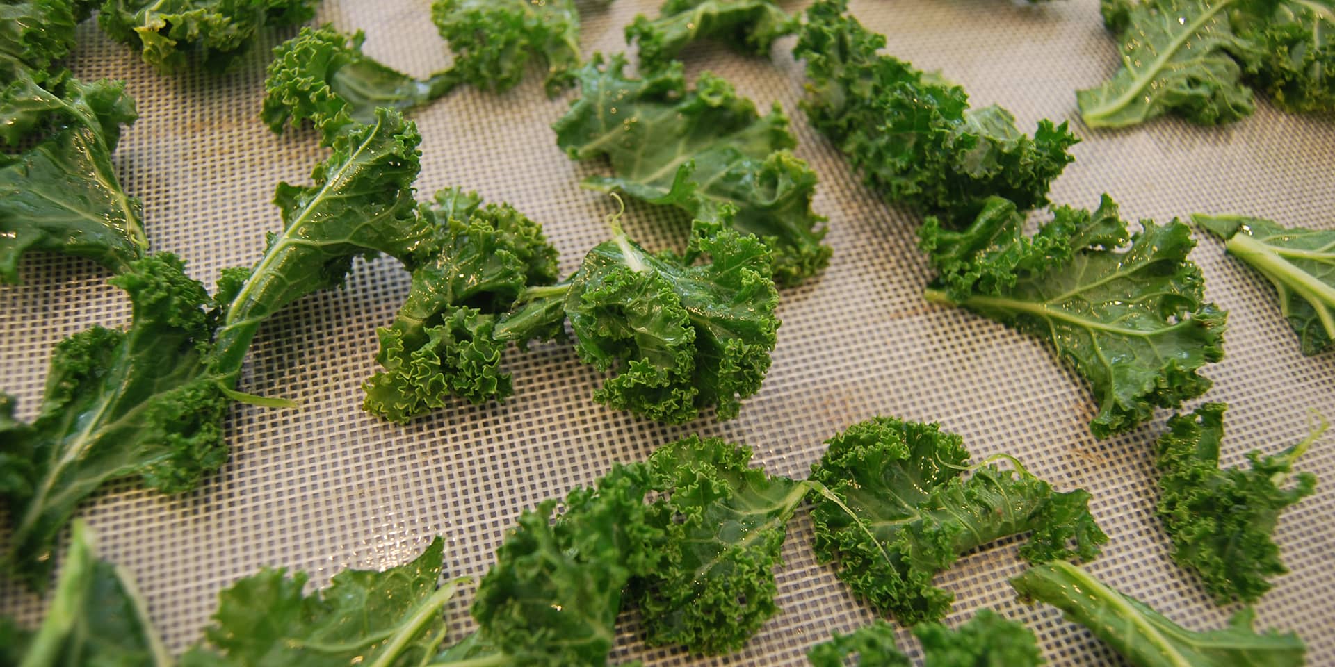 Sprøde grønkålschips i ovn | FOF Aarhus