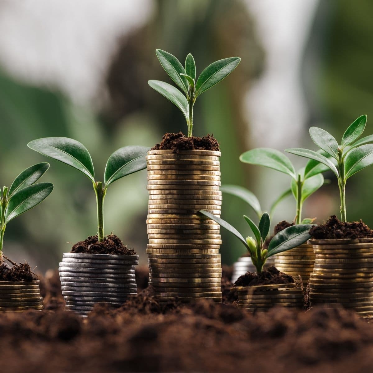 Investering John Andersen foredrag FOF Djursland.jpg