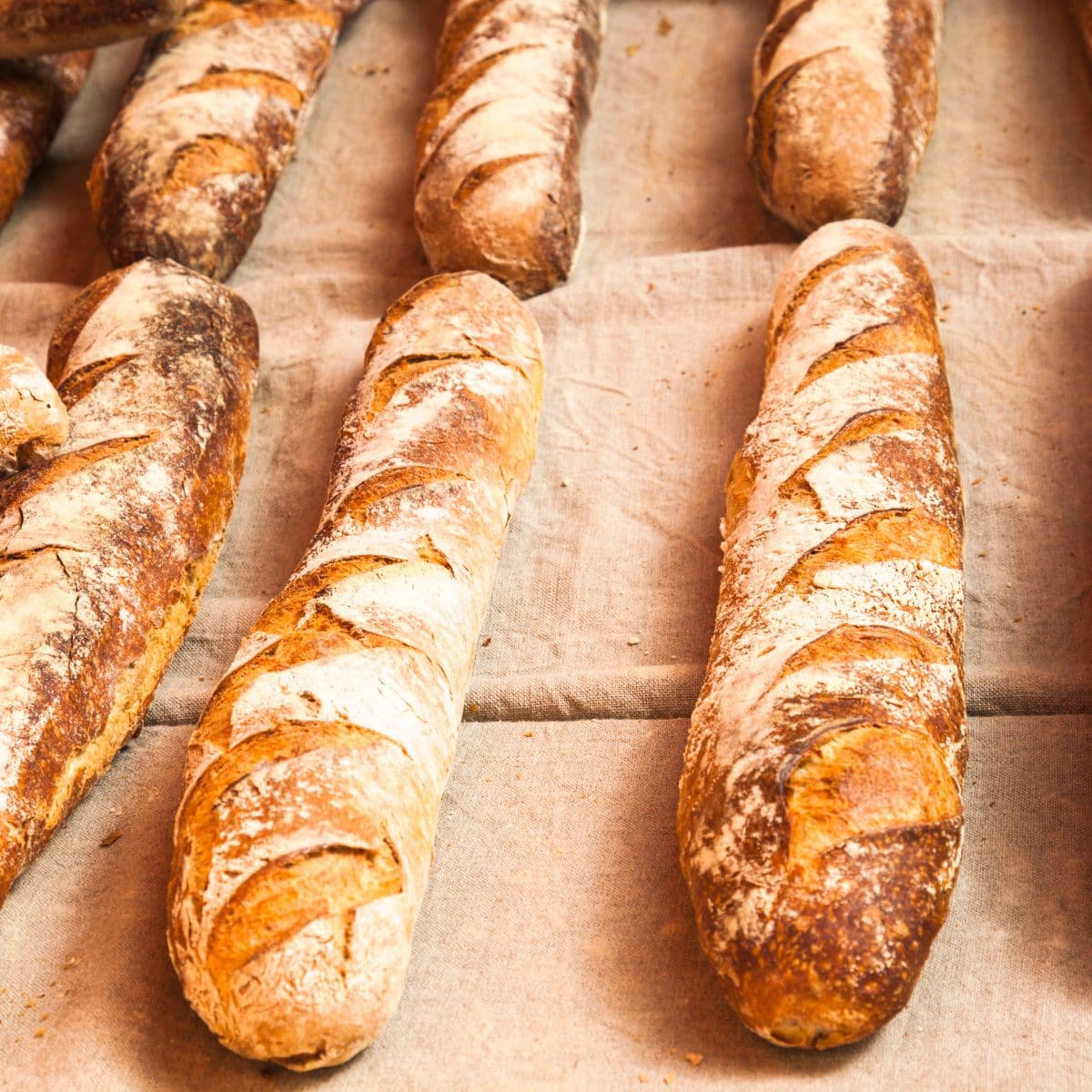 Fransk B2 FOF Sydøstjylland