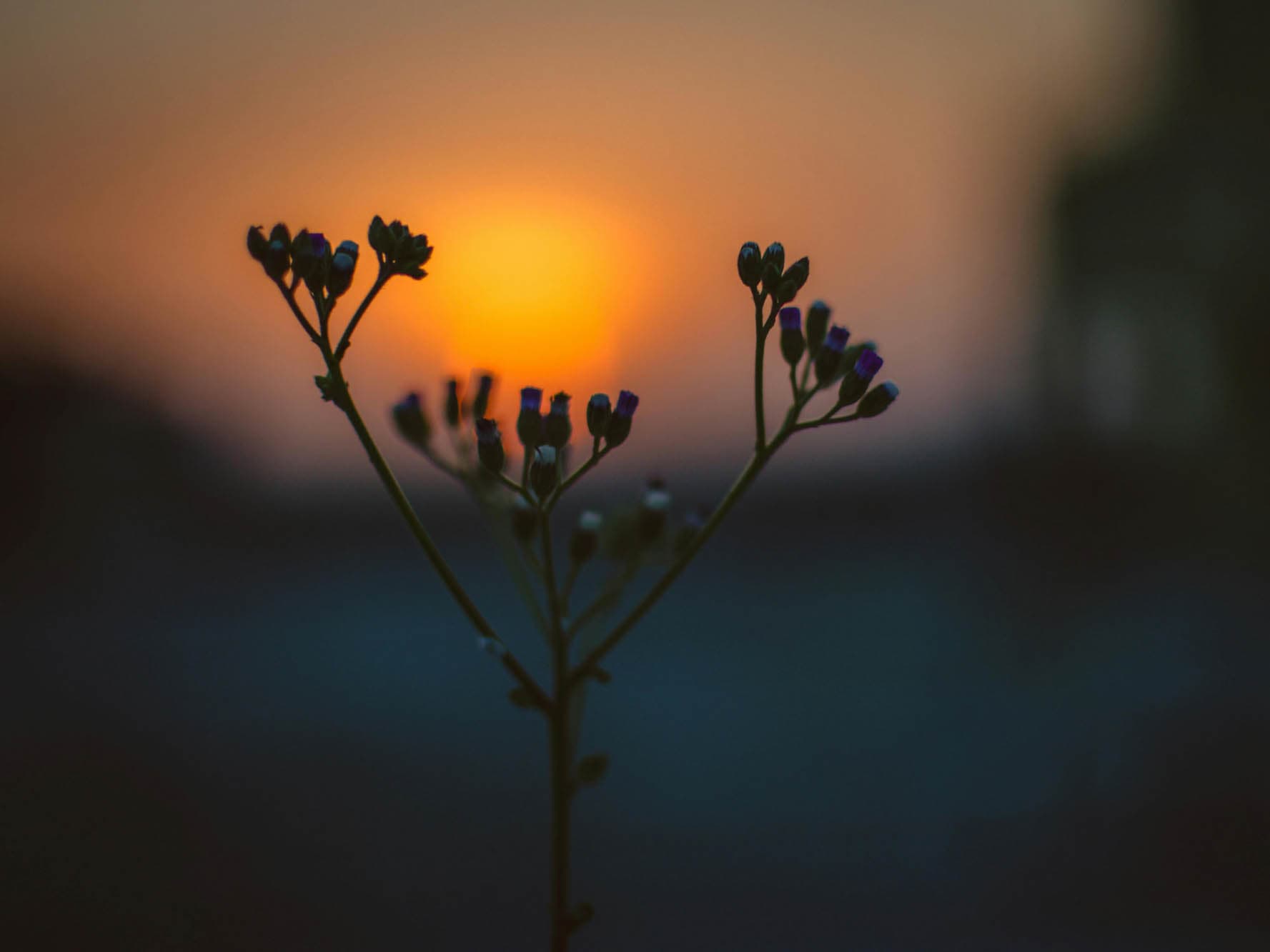 Mandagskoret Stella Polaris – syng i kor hos FOF København og Nordsjælland