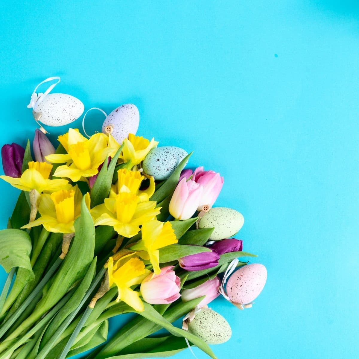 Papirblomster - tulipaner og påskeliljer