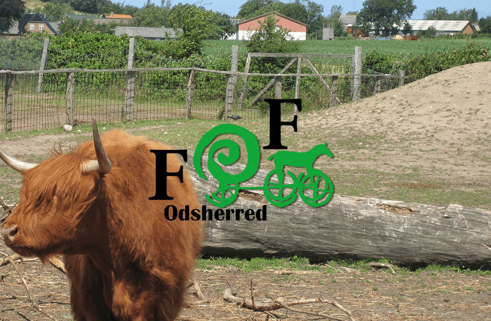 FOF Odsherred's logo