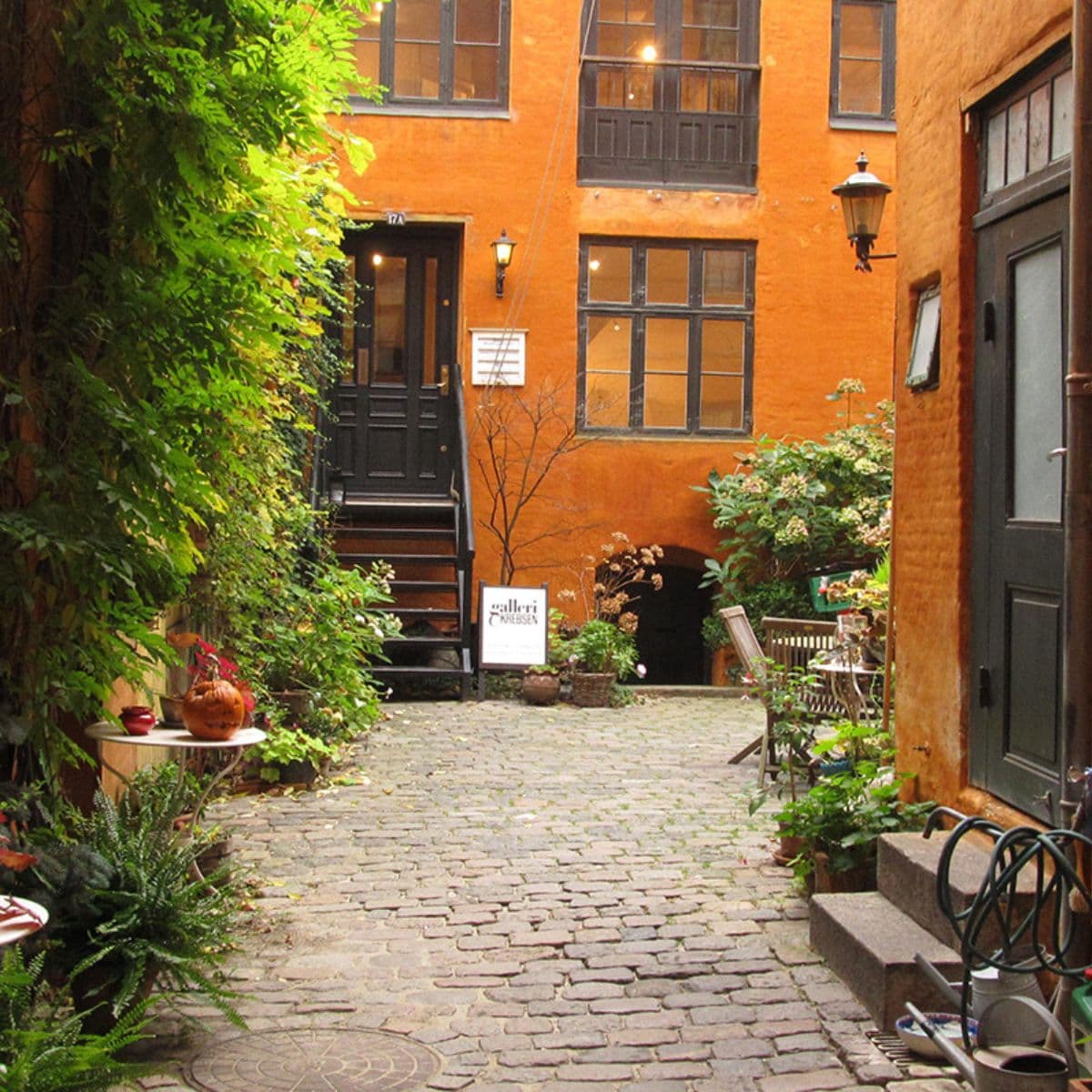 Byvandring i København – baggårde, skjulte kroge og historiske fortællinger.jpg